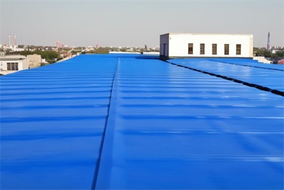 color steel tile roof